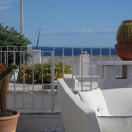 La Casa Dei Cactus Pensión *
